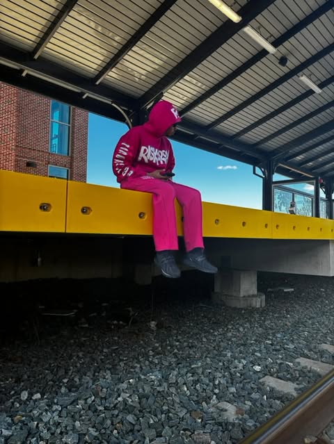 Risk2Roam Hoodies Pink